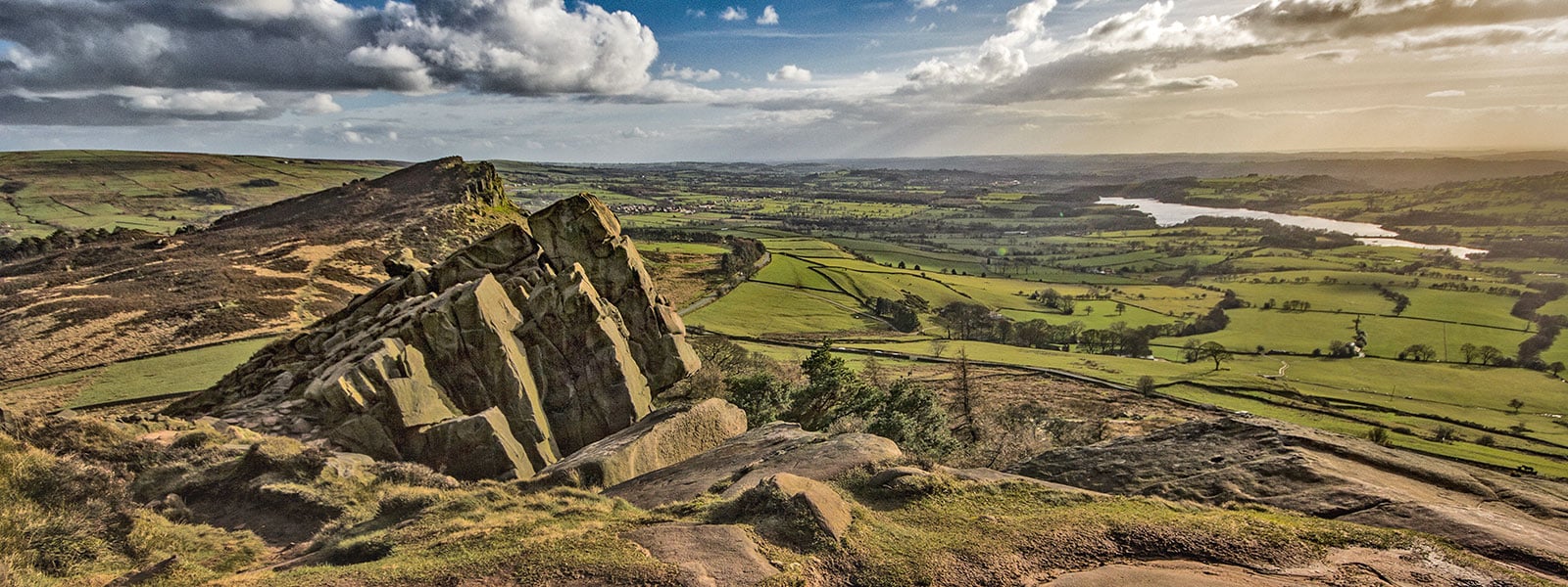 The Roaches