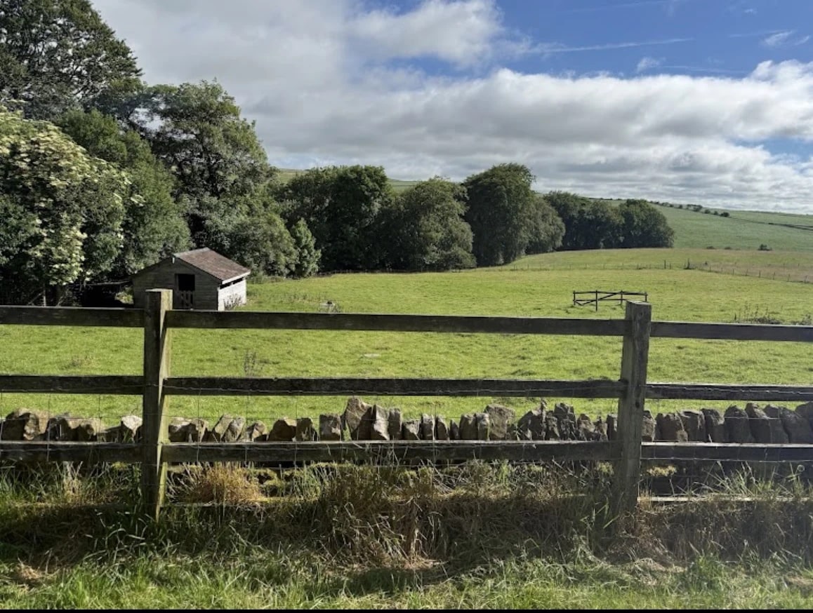 The dry-stone-walled fields on the walk up from Lane Head Barns
