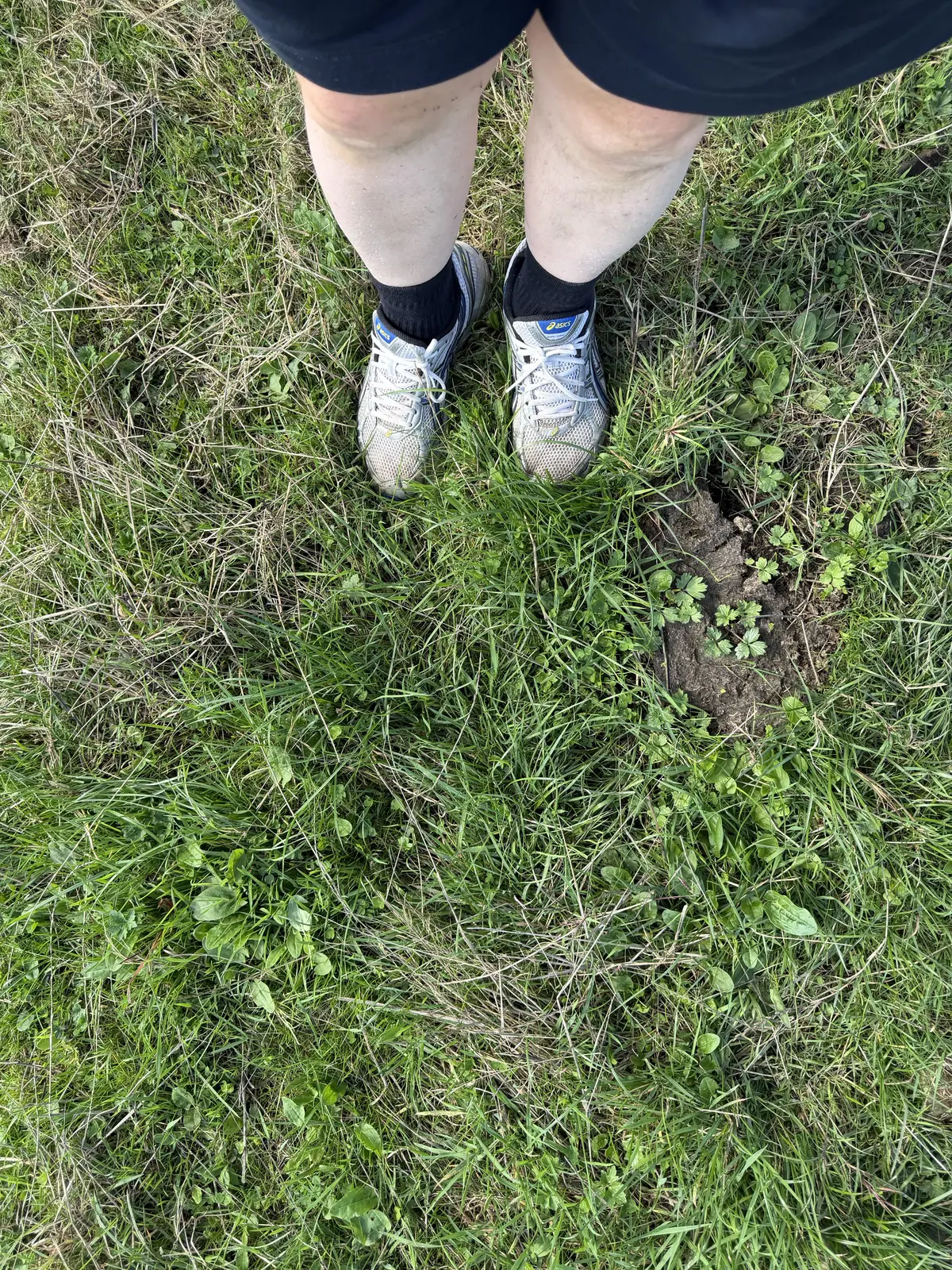 A pair of ASICS walking through an overgrown field path in shorts