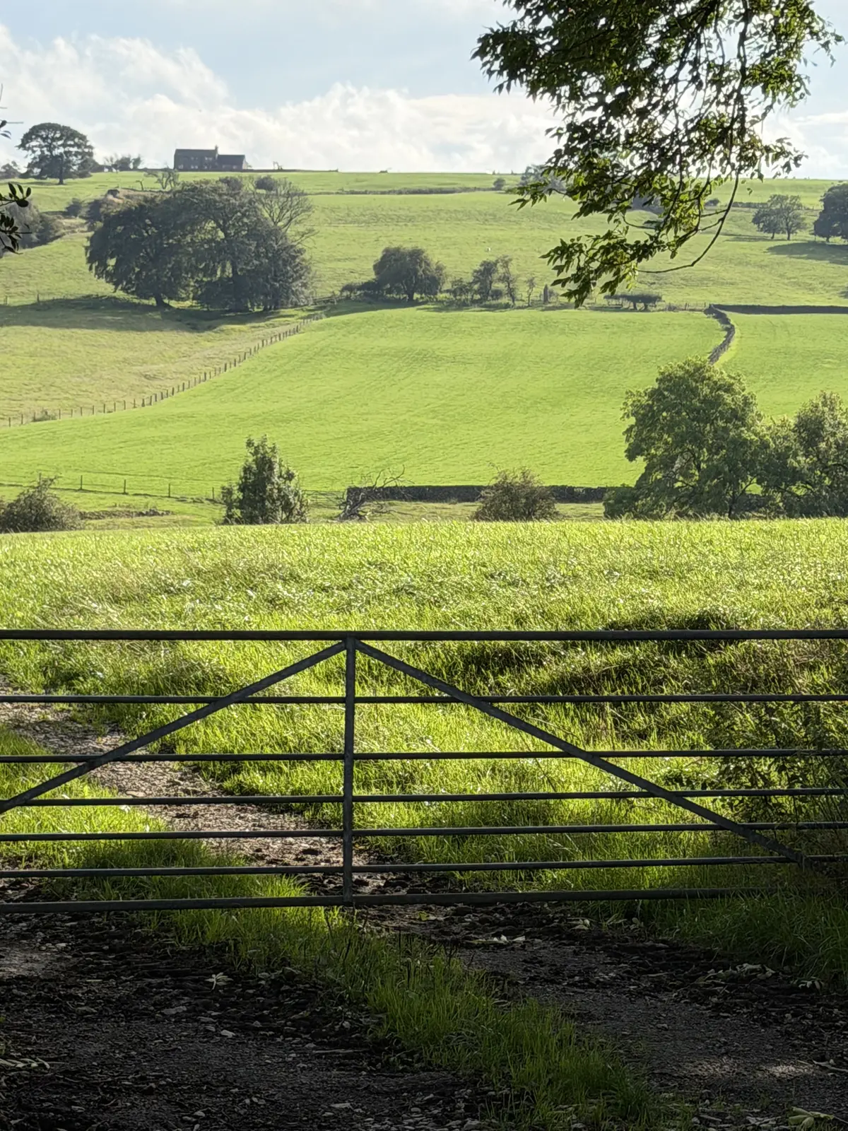 Sunlit green fields and farmhouses in the hills above Onecote
