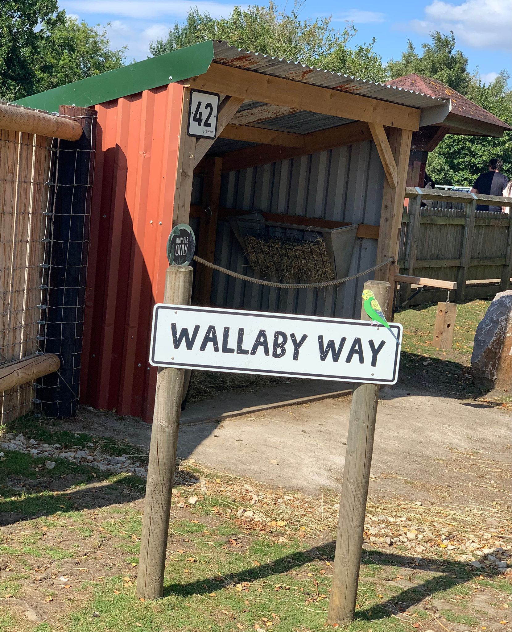 The Wallaby Way street sign at Peak Wildlife Park, with a painted budgerigar perched on top