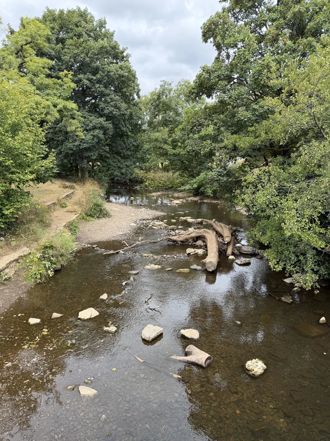 The River Manifold flowing through trees at Wetton Mill