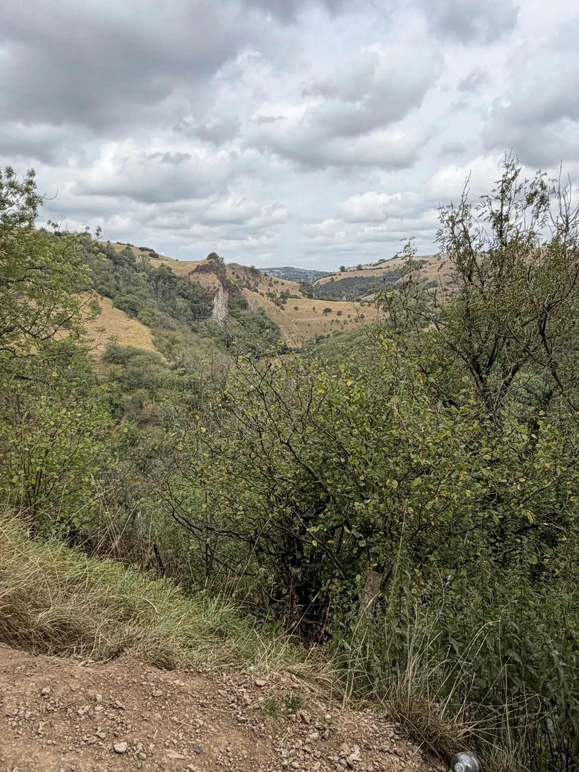 A wide view across the limestone hills of the Manifold Valley